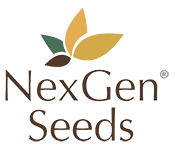 NexGen Seeds